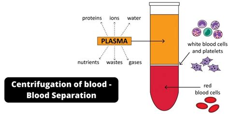 recommended centrifuge speed blood